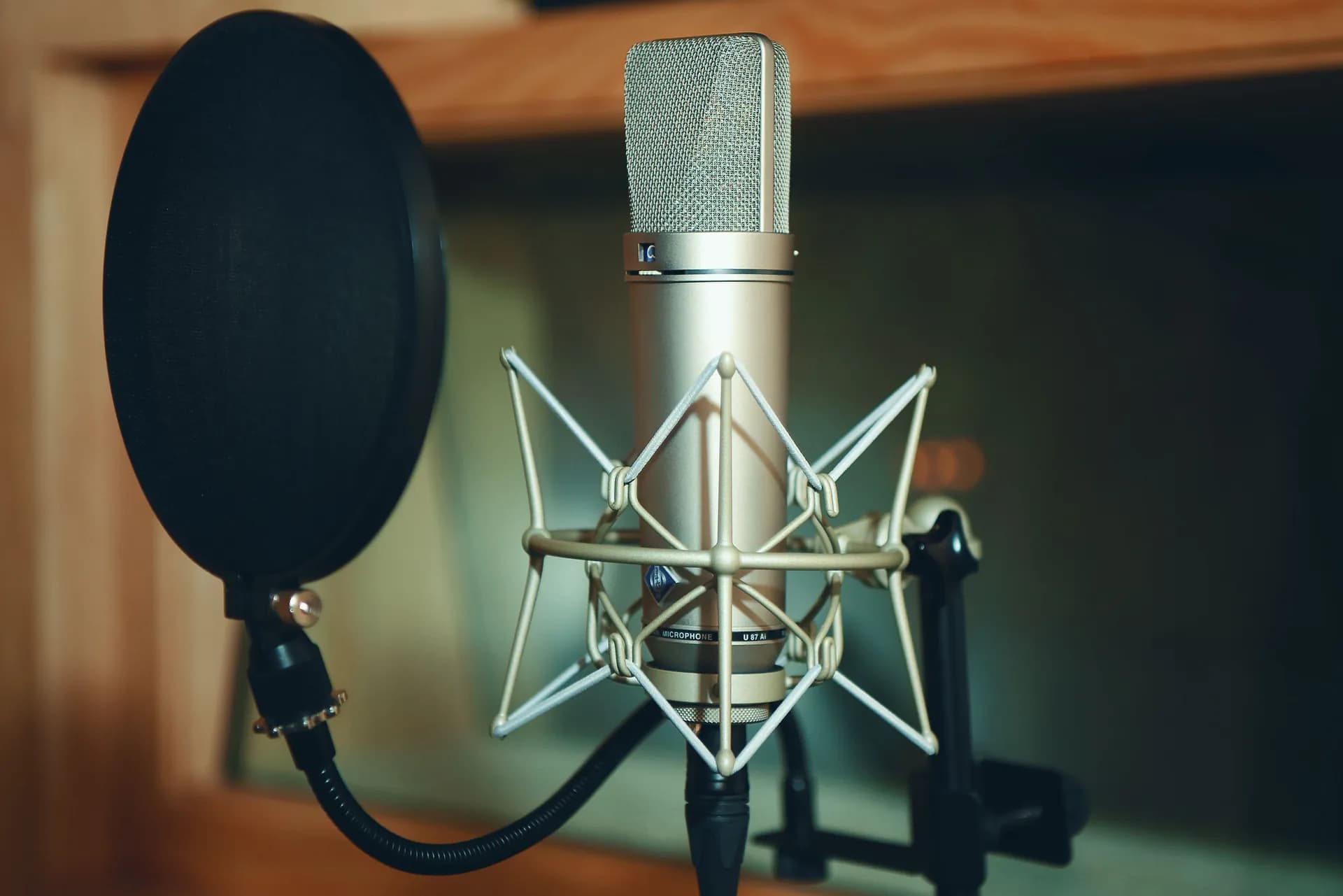 Voice Acting